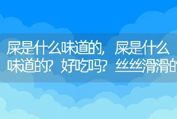 屎是什么味道的，屎是什么味道的？好吃吗？丝丝滑滑的