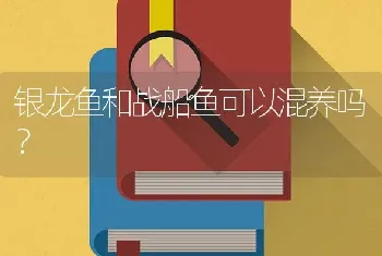 银龙鱼和战船鱼可以混养吗？