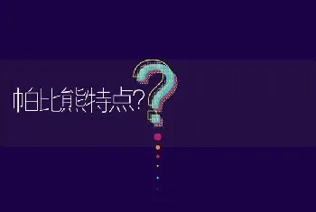 帕比熊特点？