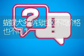 蝴蝶犬多少钱地区不同价格也不同？