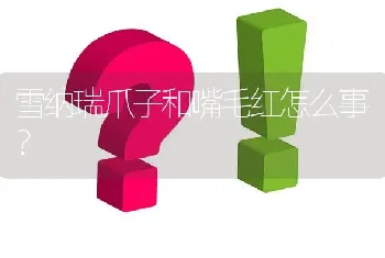 捡了条边牧怎么才能知道它的名字？