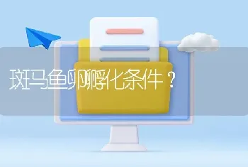 斑马鱼卵孵化条件？