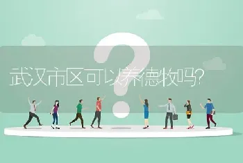 武汉市区可以养德牧吗？