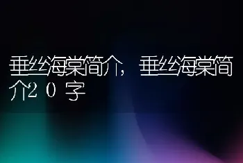 垂丝海棠简介，垂丝海棠简介20字