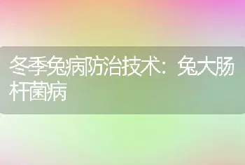 冬季兔病防治技术：兔大肠杆菌病