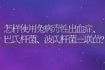 怎样使用兔病毒性出血症、巴氏杆菌、波氏杆菌三联苗？