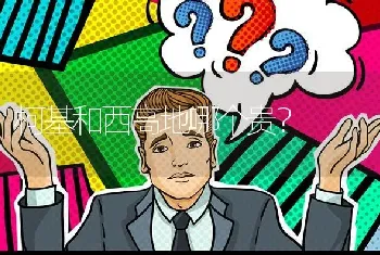 柯基和西高地哪个贵？