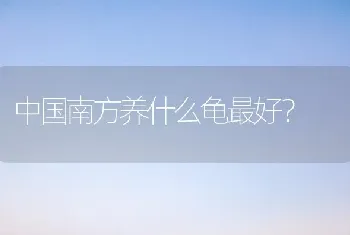 中国南方养什么龟最好？