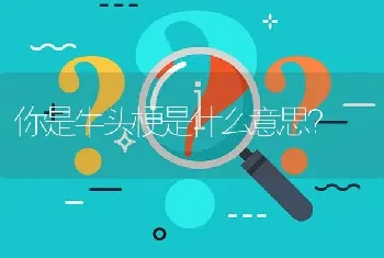 你是牛头梗是什么意思？