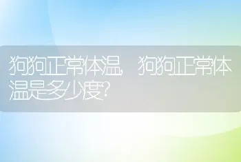 狗狗正常体温，狗狗正常体温是多少度？