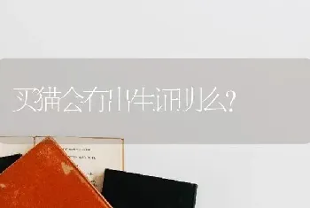 买猫会有出生证明么？