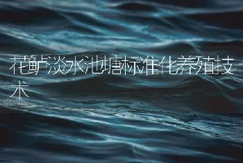 花鲈淡水池塘标准化养殖技术