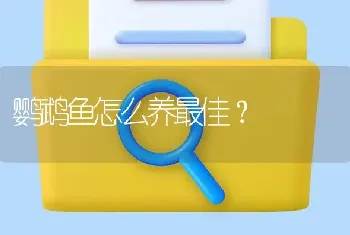 鹦鹉鱼怎么养最佳？