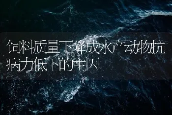 饲料质量下降成水产动物抗病力低下的主因