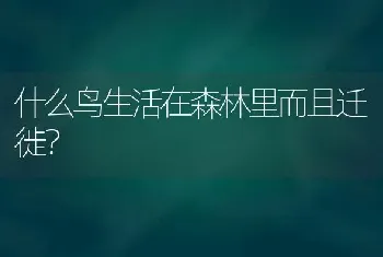 什么鸟生活在森林里而且迁徙？