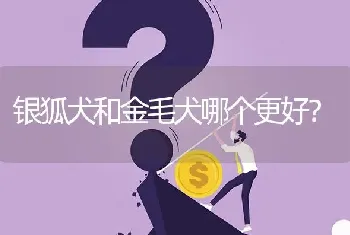 银狐犬和金毛犬哪个更好？