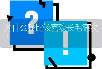 为什么我比较喜欢长毛德牧？