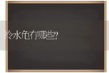 冷水龟有哪些？