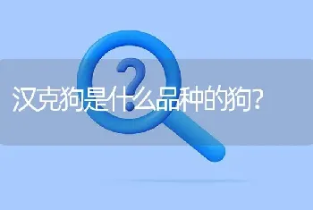 汉克狗是什么品种的狗？