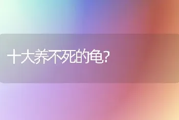 十大养不死的龟？