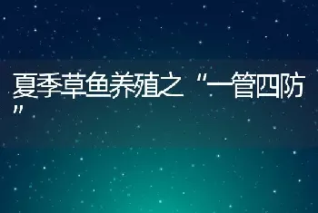 夏季草鱼养殖之“一管四防”