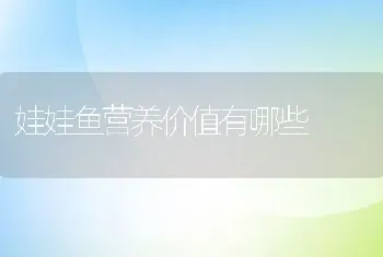 娃娃鱼营养价值有哪些