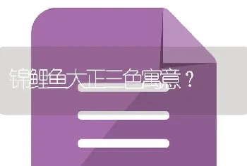 锦鲤鱼大正三色寓意？