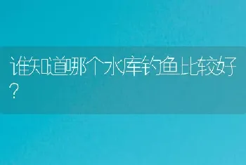 谁知道哪个水库钓鱼比较好？