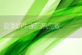 夏季奶牛谨防热应激