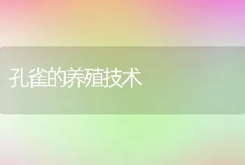 孔雀的养殖技术