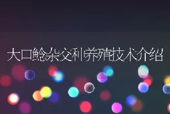 大口鲶杂交种养殖技术介绍