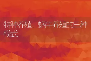 特种养殖：蜗牛养殖的三种模式