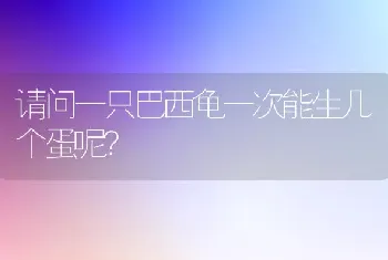 请问一只巴西龟一次能生几个蛋呢？