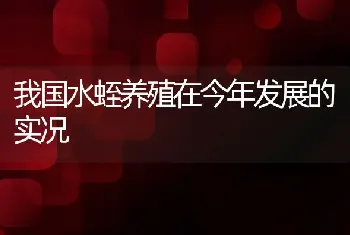 我国水蛭养殖在今年发展的实况