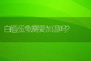 白唇蛋龟需要加温吗？