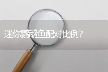 迷你鹦鹉鱼配对比例？