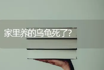 古牧多长时间生一个宝宝？