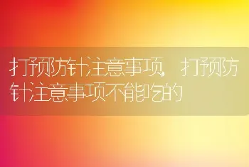 打预防针注意事项，打预防针注意事项不能吃的