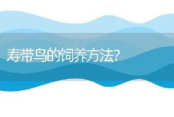 中华田园犬六年可以长到多少岁？