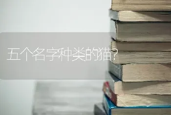 五个名字种类的猫？