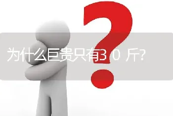 为什么巨贵只有30斤？