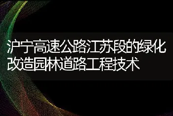 沪宁高速公路江苏段的绿化改造园林道路工程技术