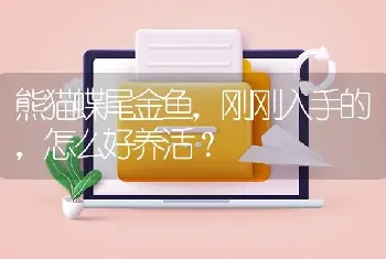 熊猫蝶尾金鱼，刚刚入手的，怎么好养活？