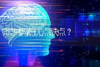 一个月大点的小狗吐水，该怎么办？