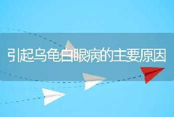 引起乌龟白眼病的主要原因