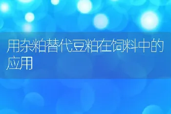 用杂粕替代豆粕在饲料中的应用