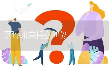 萨摩耶剃毛好吗？