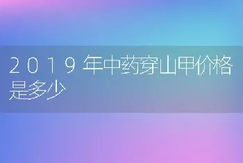 2019年中药穿山甲价格是多少