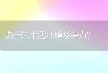 蝎子的生活环境及特点？