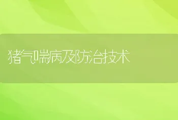 猪气喘病及防治技术